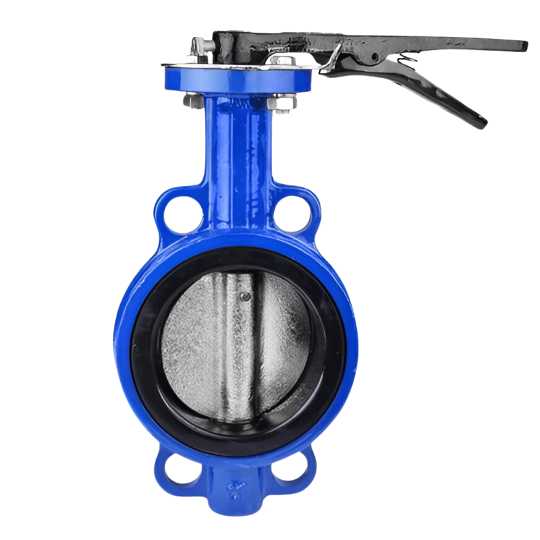 Butterfly Valves Manufacturer in Ahmadabad