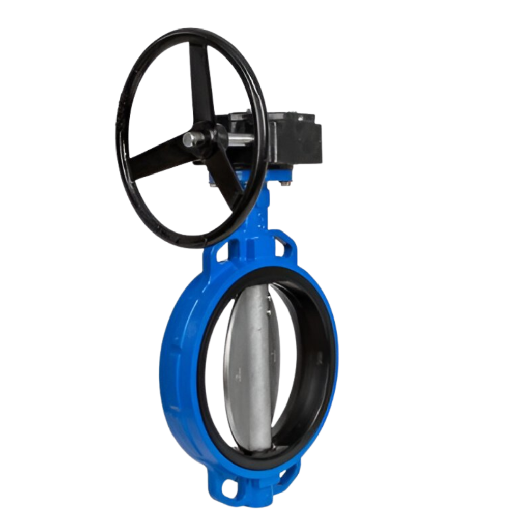 Globe Valve in Ahmedabad