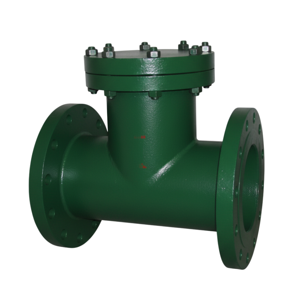 Strainer Valves Exporter in Ahmedabad