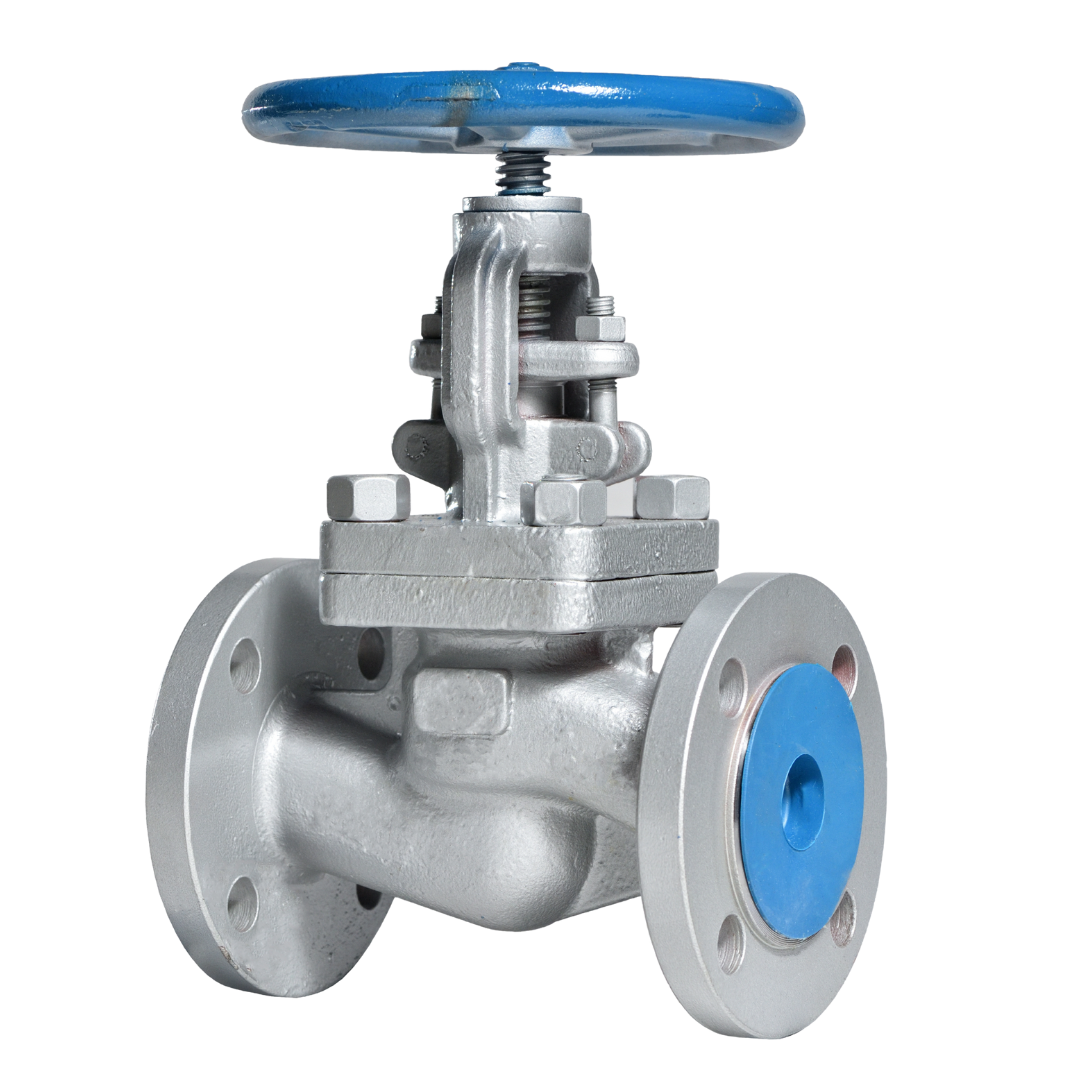 Strainer Valves Supplier in Ahmedabad
