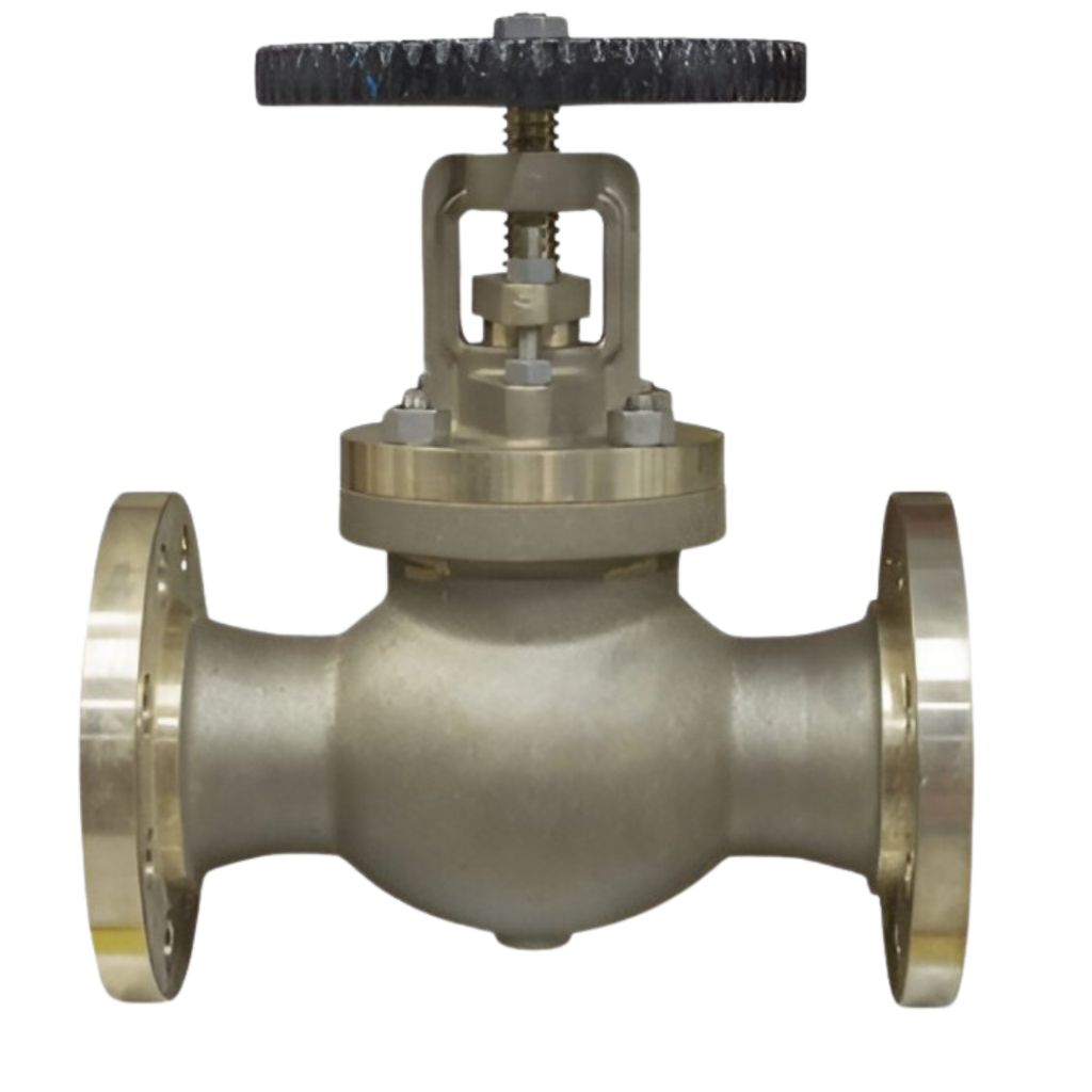 Top Globe Valves Manufacturer and Exporter in Ahmedabad