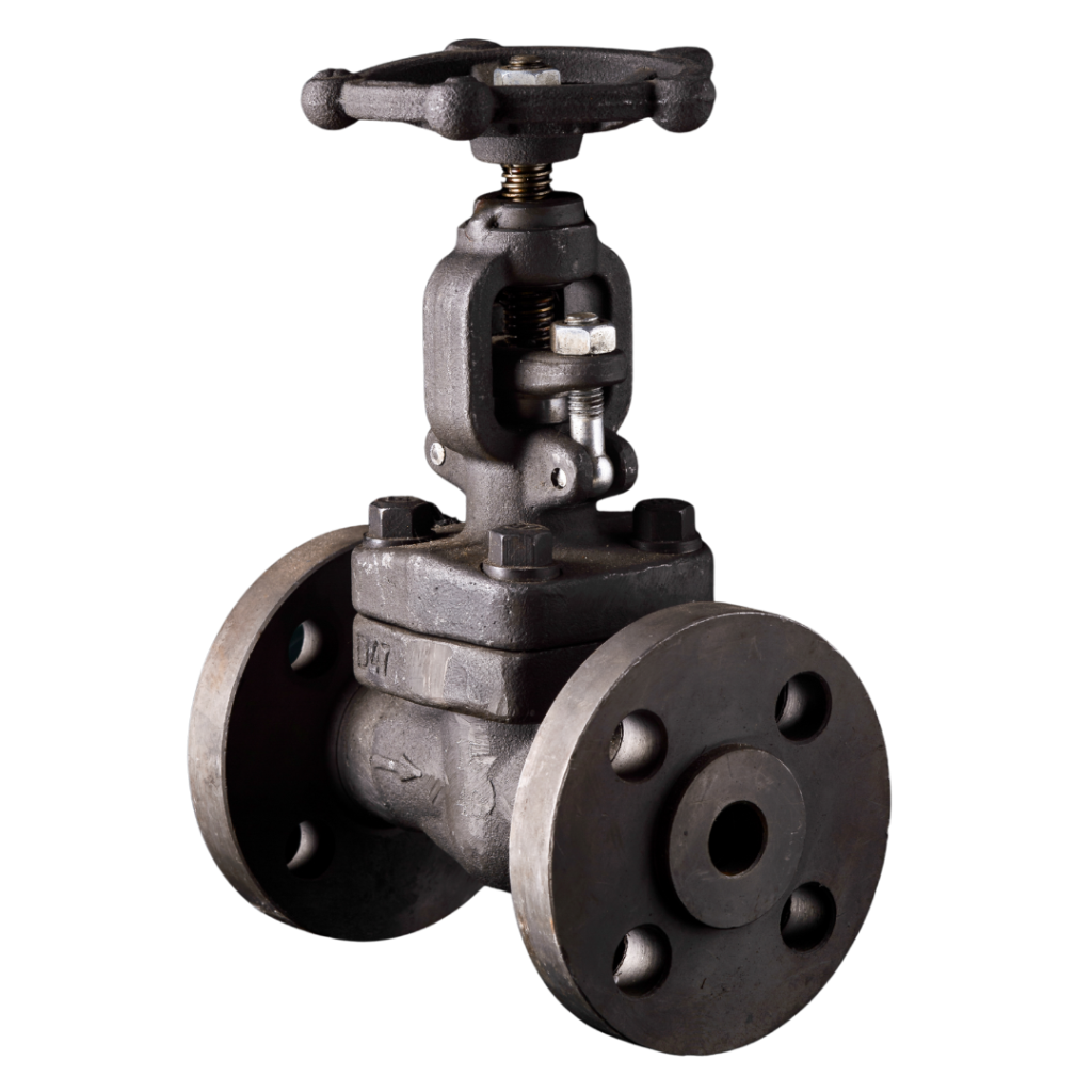 Forged Steel Valve Supplier in Ahmedabad