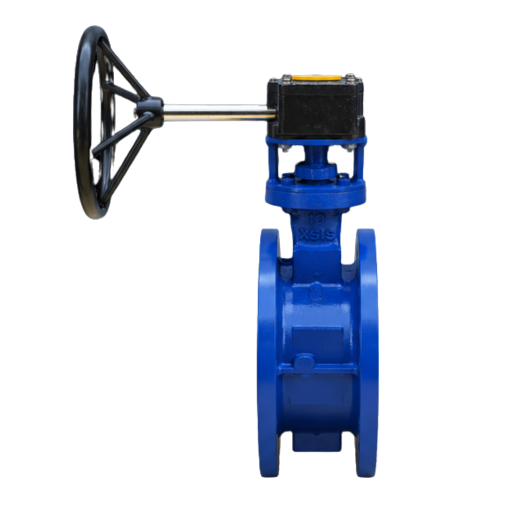 What is a Butterfly Valve