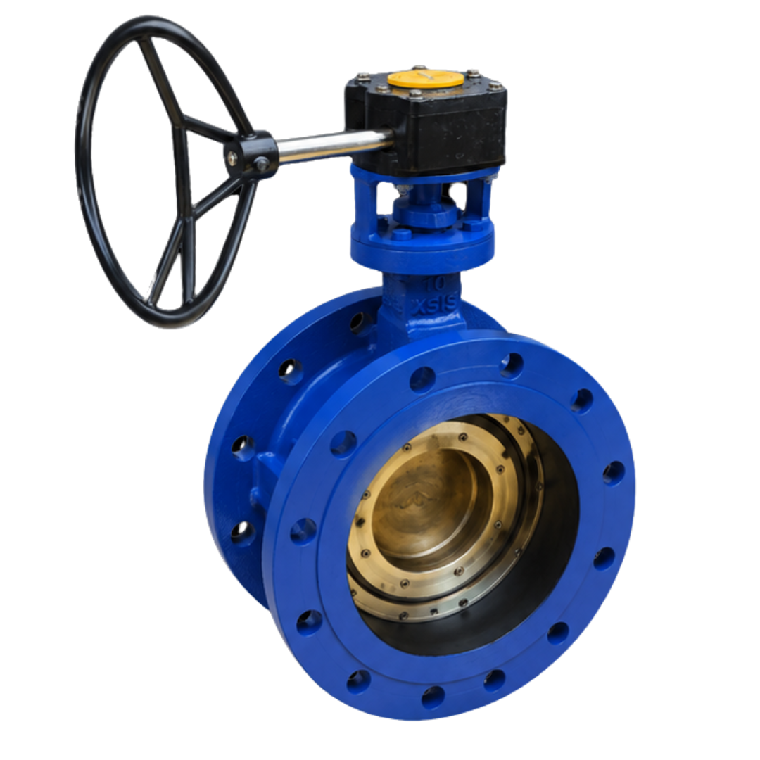 Butterfly Valves Exporter