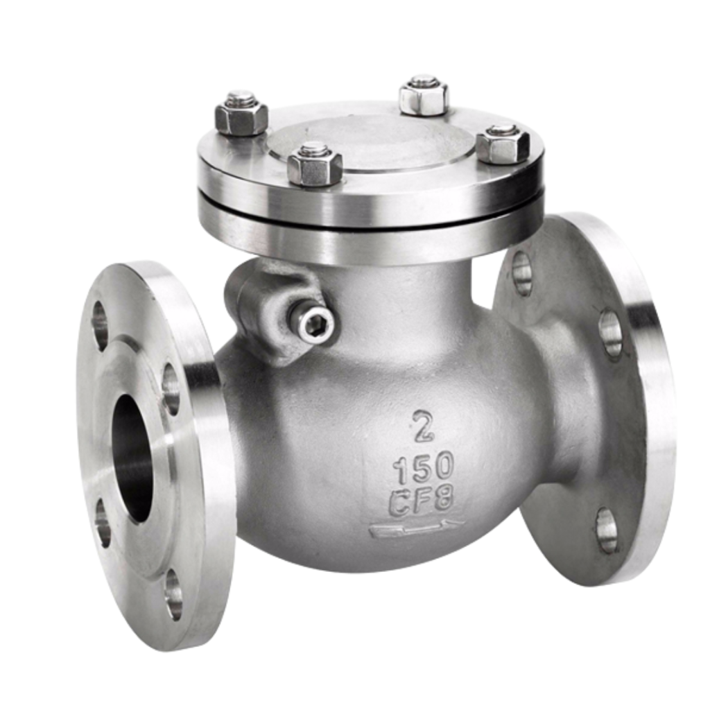 Check Valve Company in Ahmedabad
