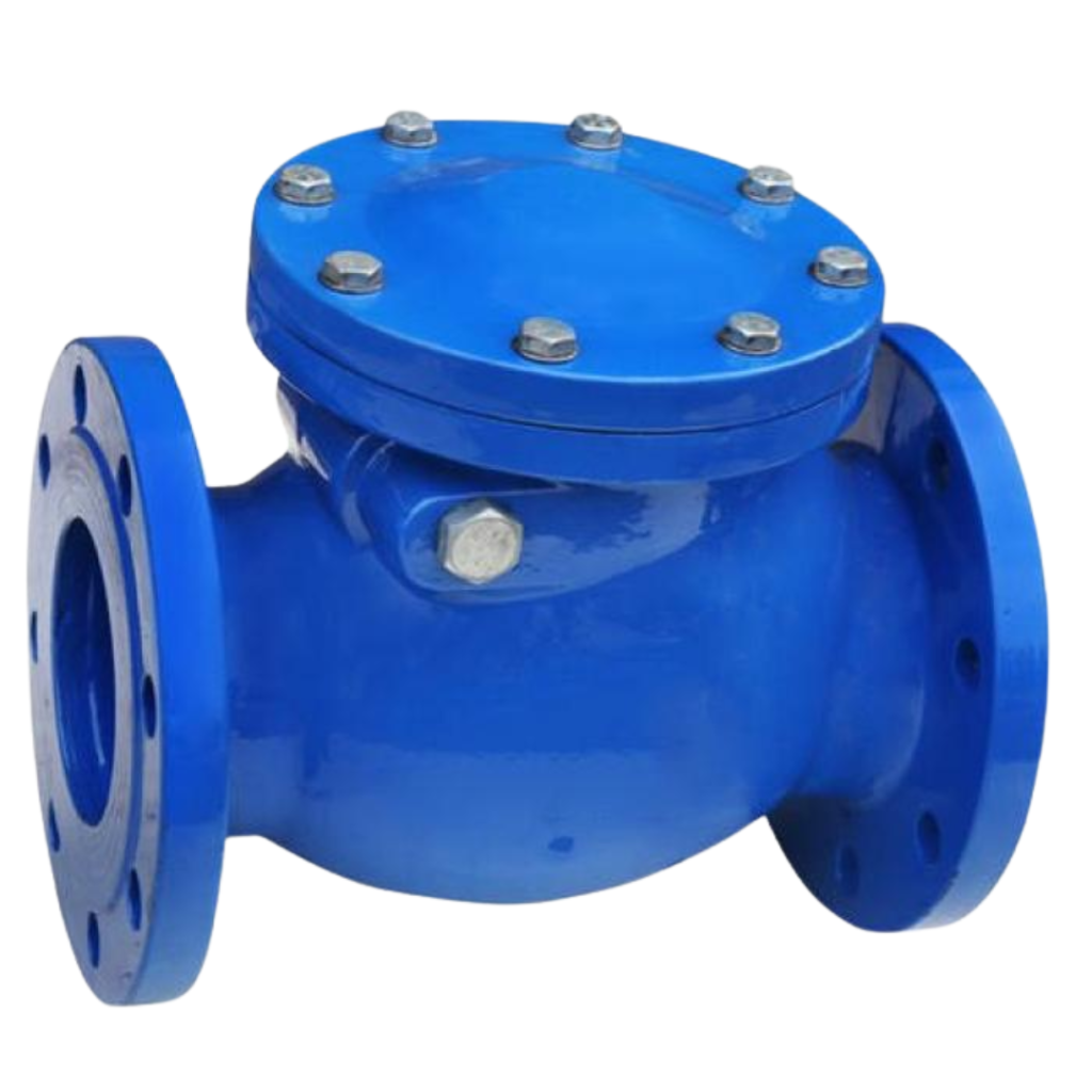 Check Valve Manufacturer and Exporter in Ahmedabad