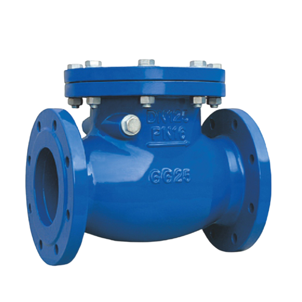 Check Valve Manufacturer in Ahmedabad