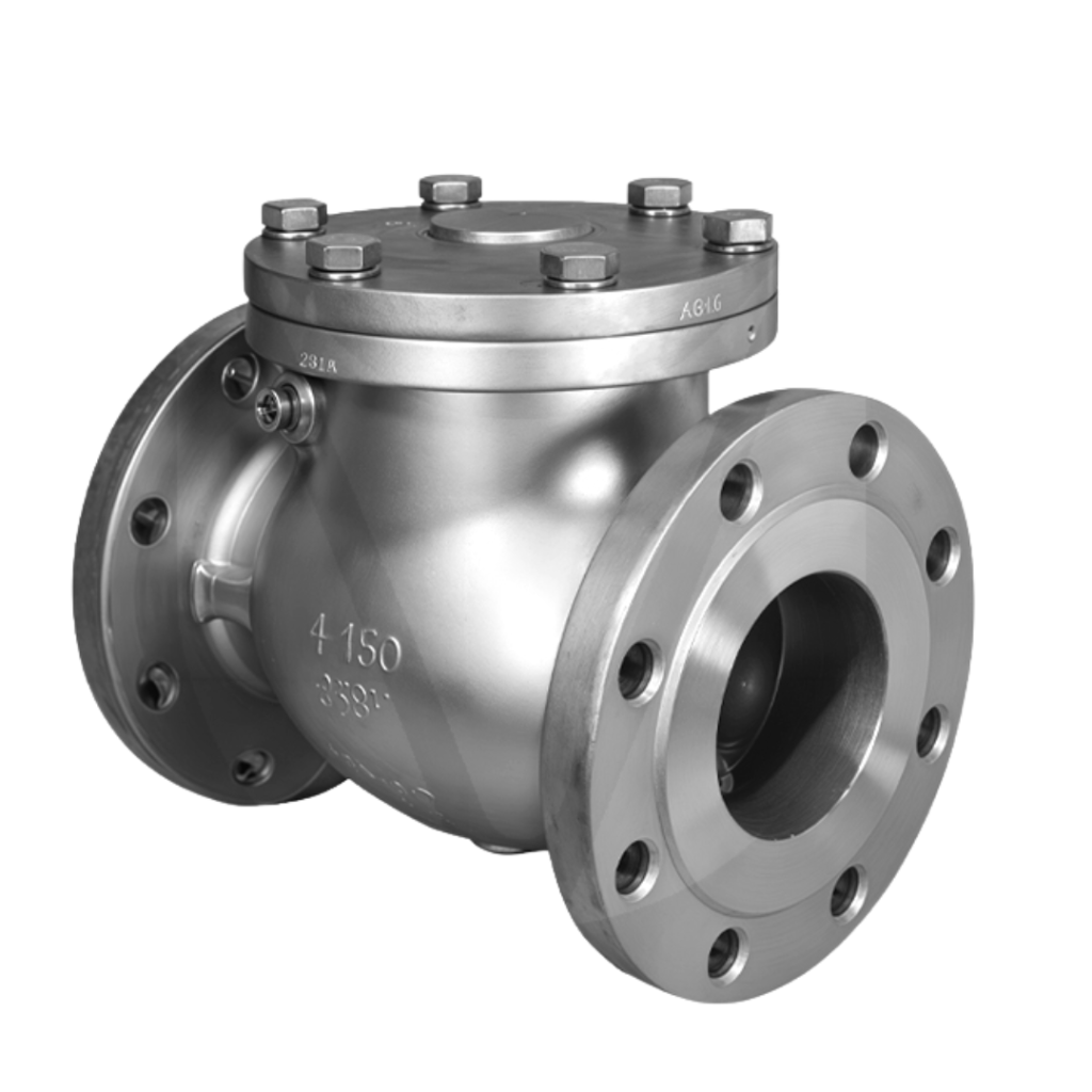 Check Valve Supplier in Ahmedabad