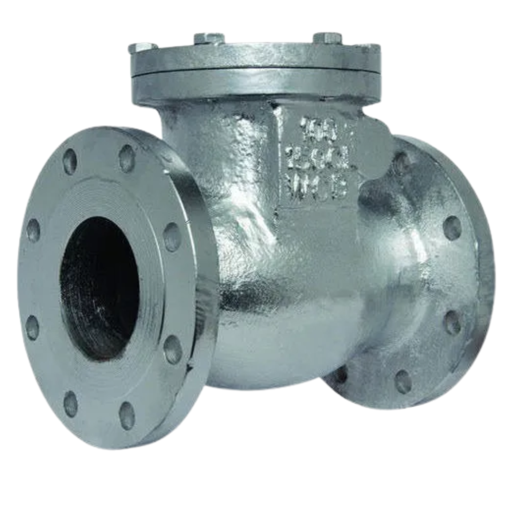 Check Valve in Ahmedabad