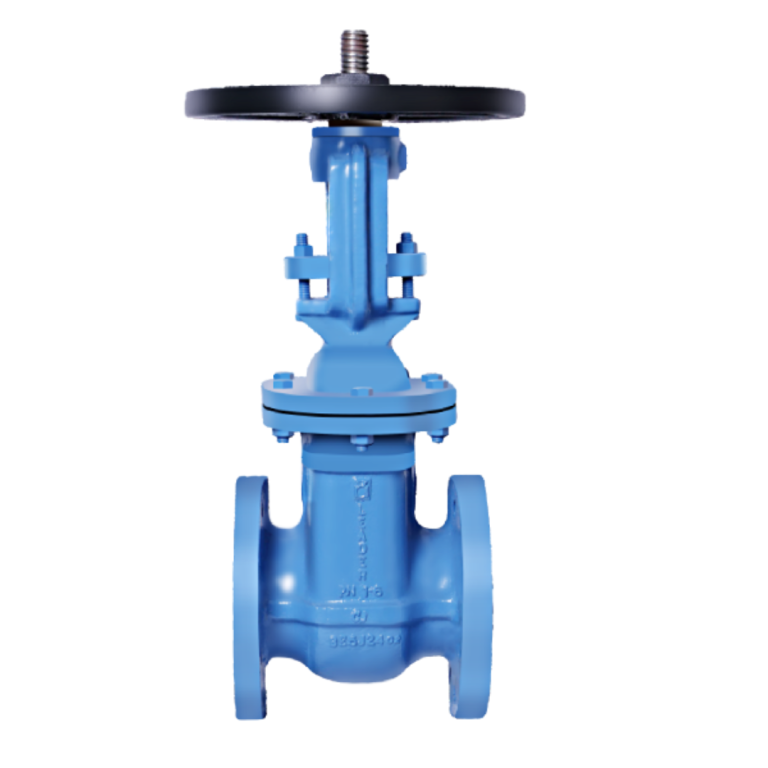 Gate Valve