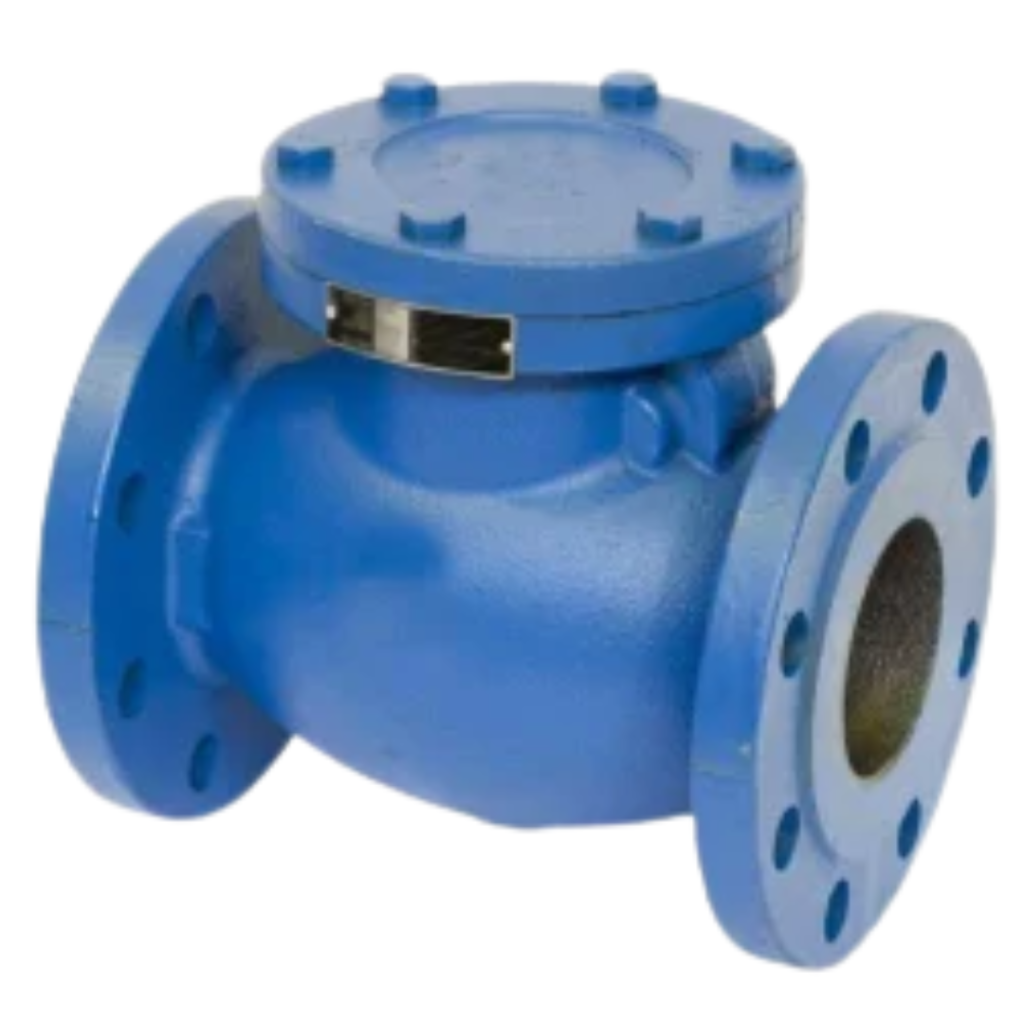 Non Return Valves Company in Ahmedabad